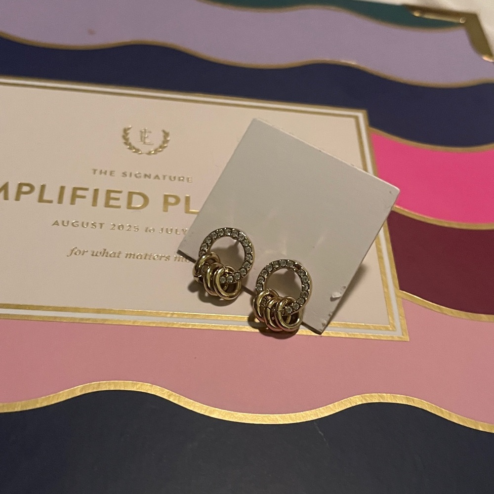 Elegant Gold and Silver Hoop Earrings